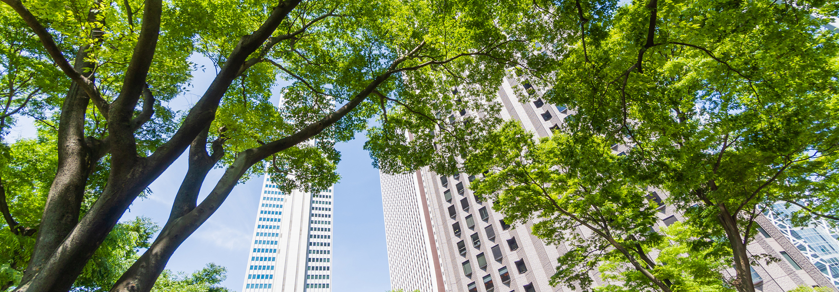 キービジュアル