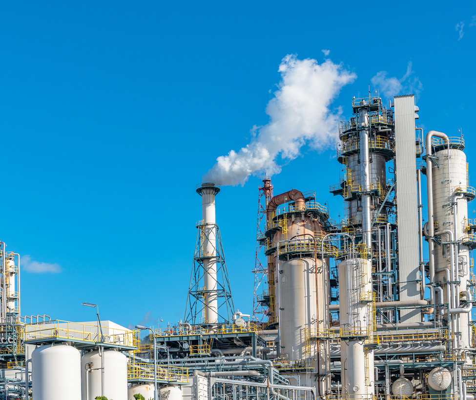 プラスワンの事業内容