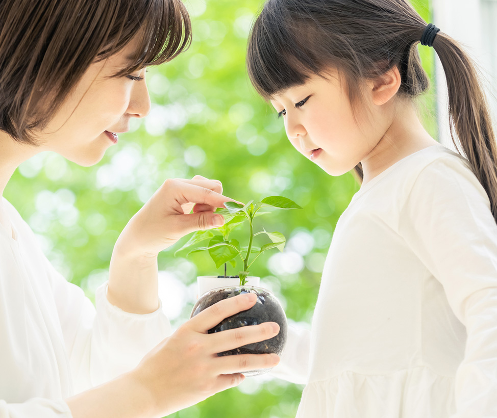 プラスワンの事業内容